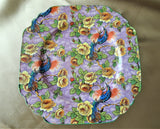 BEAUTIFUL Art Deco CHINTZ Plate, Exotic Birds and Yellow Roses, English Winterton Ware, Longton, England