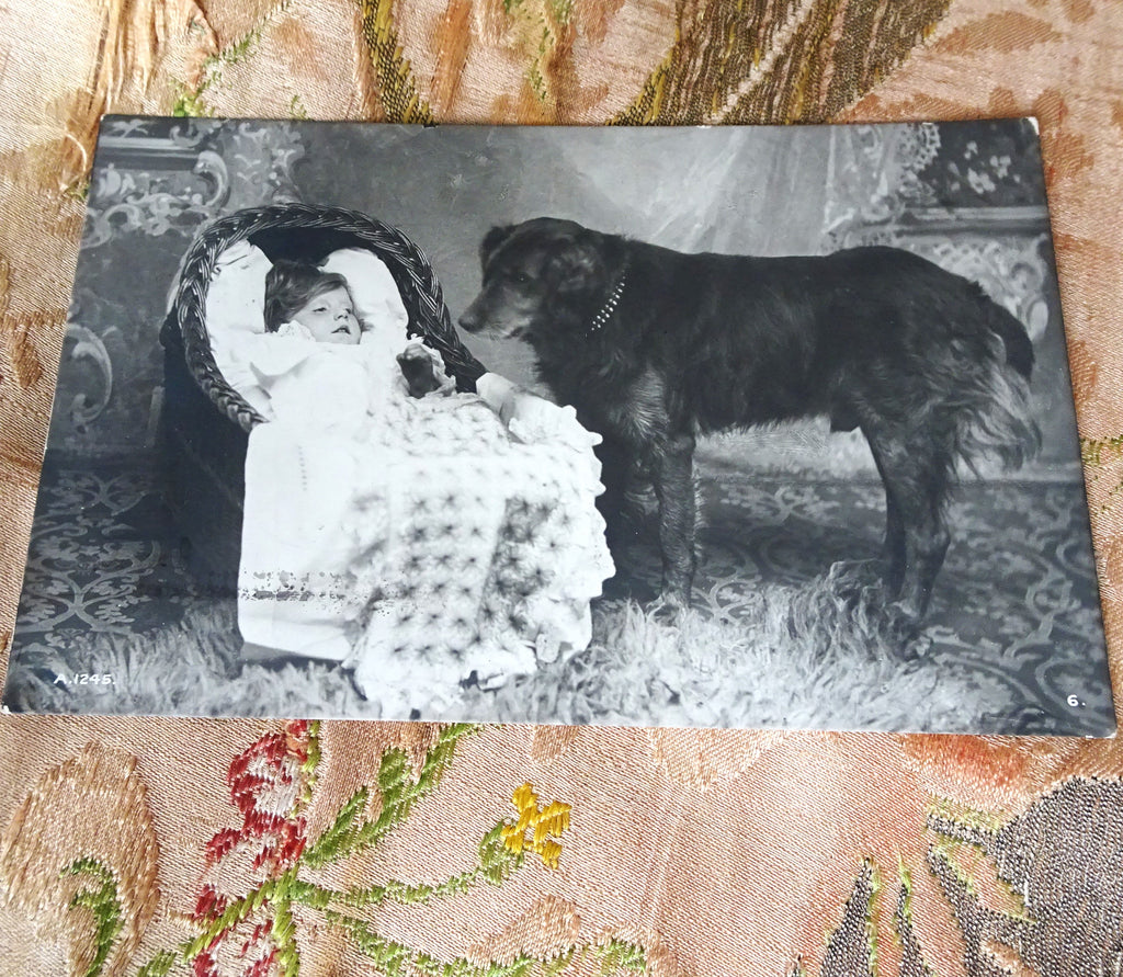 CUTE 1913 Photo Postcard Of Child and Dog, Sweet Baby and Beautiful Dog, Collectible Vintage Postcard