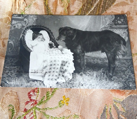 CUTE 1913 Photo Postcard Of Child and Dog, Sweet Baby and Beautiful Dog, Collectible Vintage Postcard