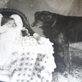 CUTE 1913 Photo Postcard Of Child and Dog, Sweet Baby and Beautiful Dog, Collectible Vintage Postcard