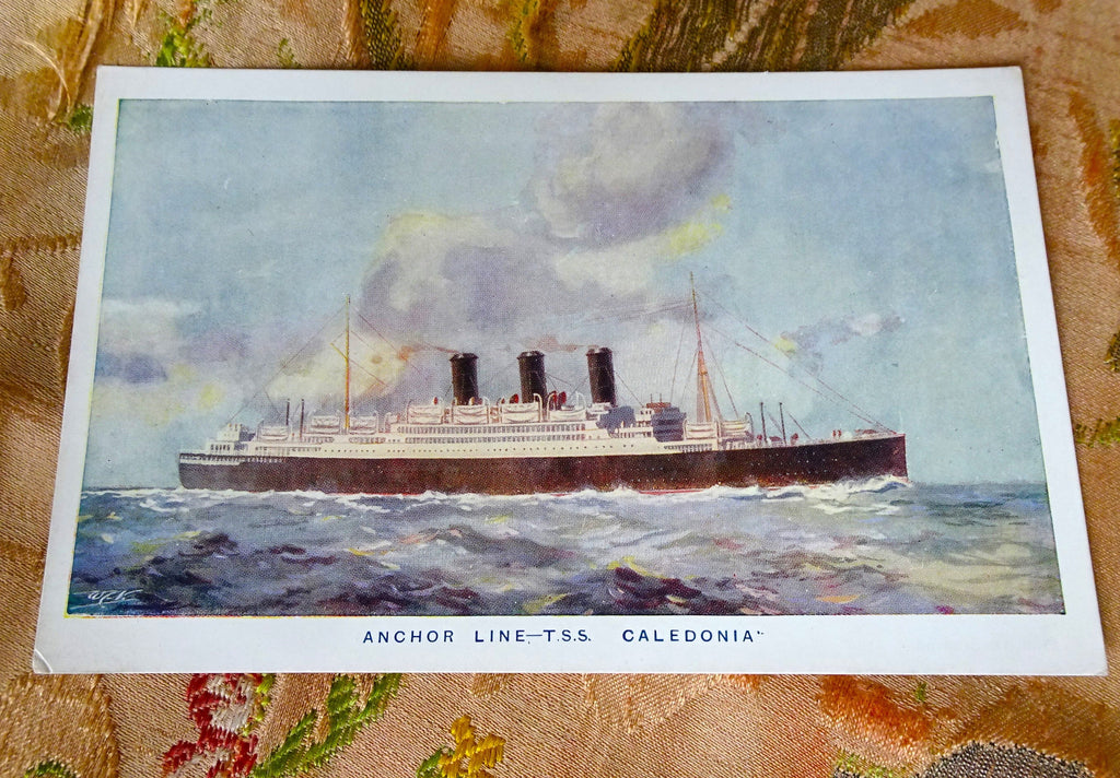 LOVELY Vintage Steamship Postcard, Anchor Line TSS Caledonia, 1920s Never Used Ship Postcard, Collectible Vintage Postcards
