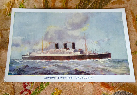LOVELY Vintage Steamship Postcard, Anchor Line TSS Caledonia, 1920s Never Used Ship Postcard, Collectible Vintage Postcards