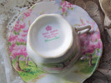 BEAUTIFUL Vintage Tea Cup and Saucer BLOSSOM TIME Royal Albert English Bone China for Bridal Luncheons,Showers, Hostess Gift, Bridesmaid Gift, Weddings,Tea Parties, Brocante